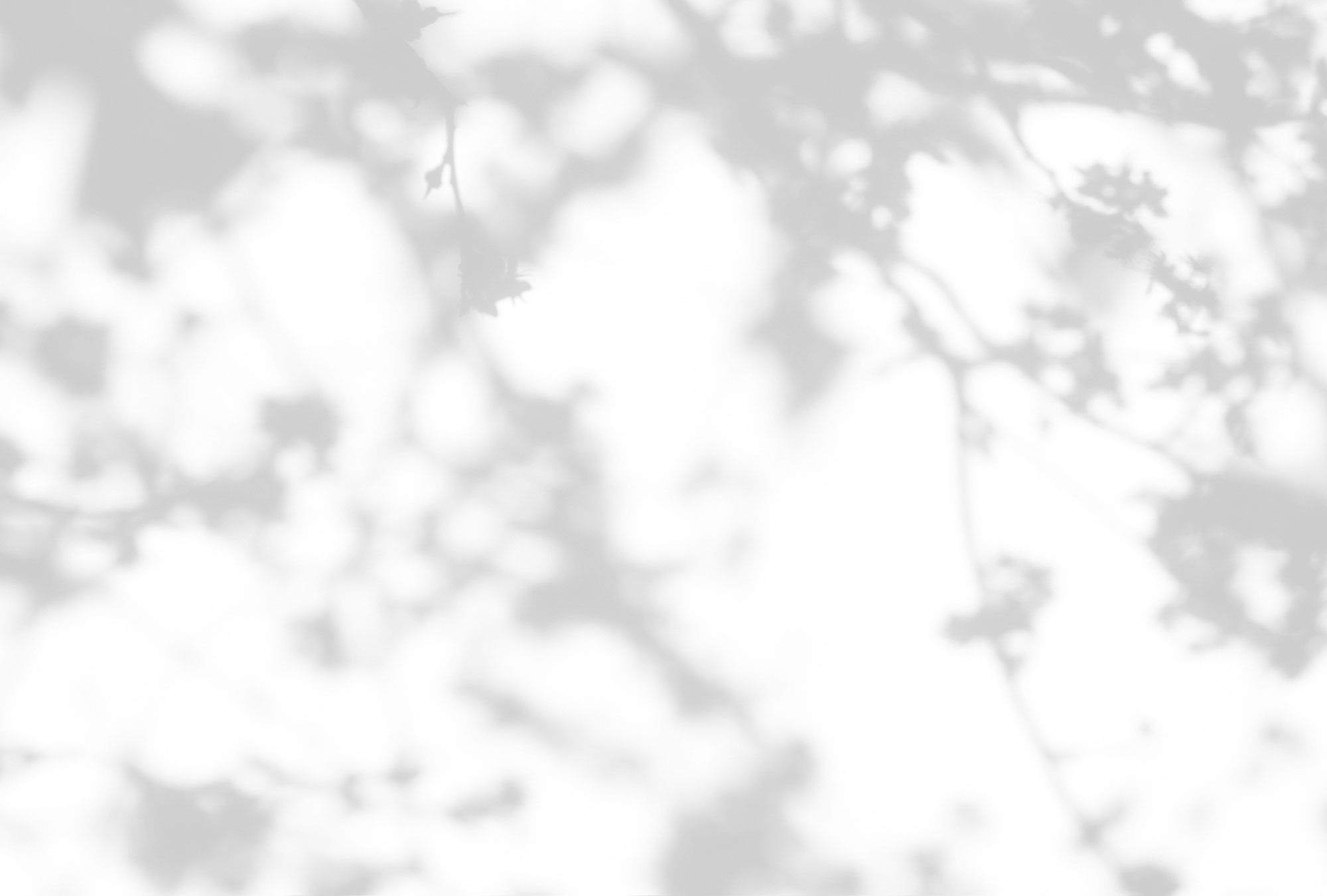 AS Fototapete Walls by Patel 3 Blumen DD122028 AS Fototapete Walls by Patel 3 Blumen DD122028