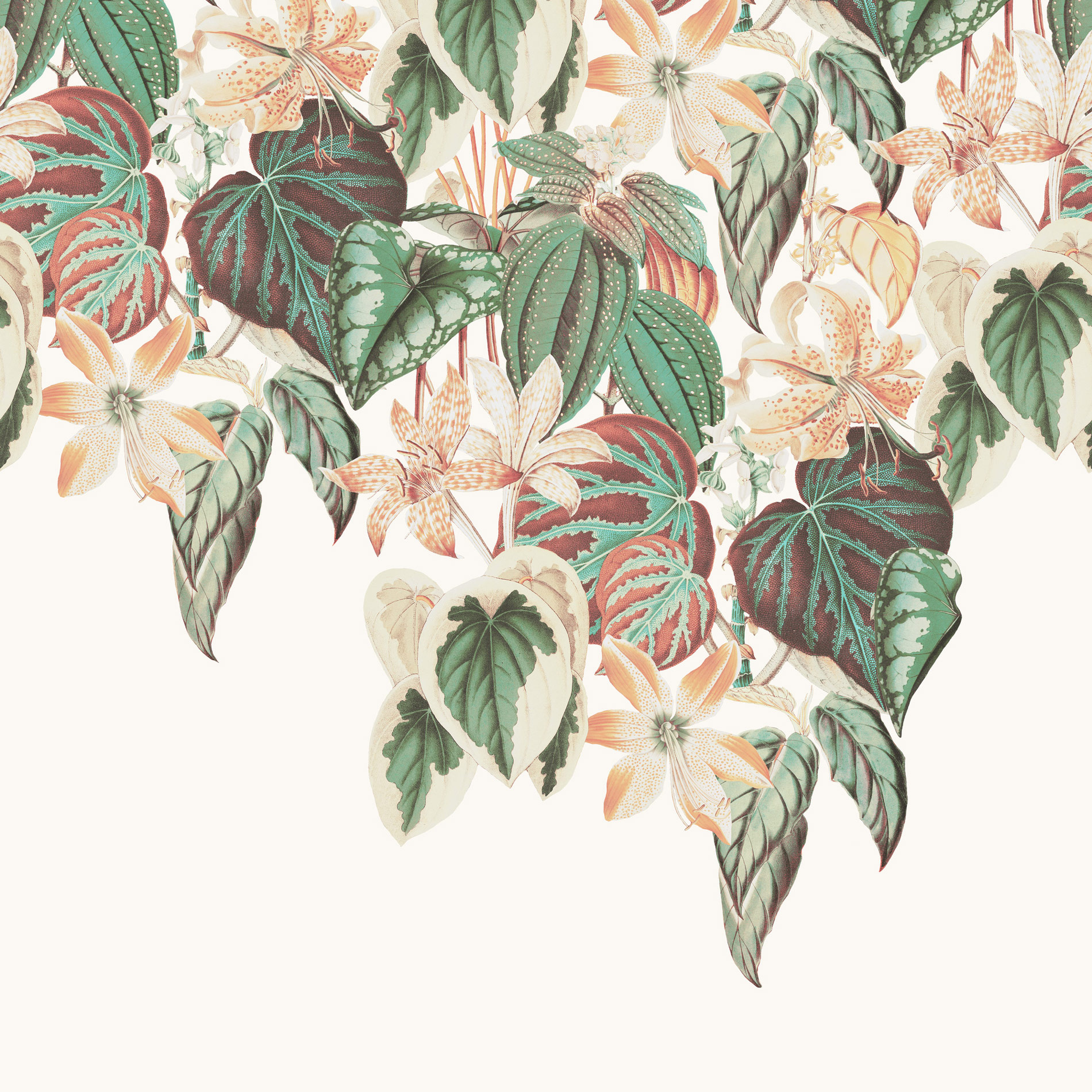 Rasch Fototapete Magic Walls Blätter 590036