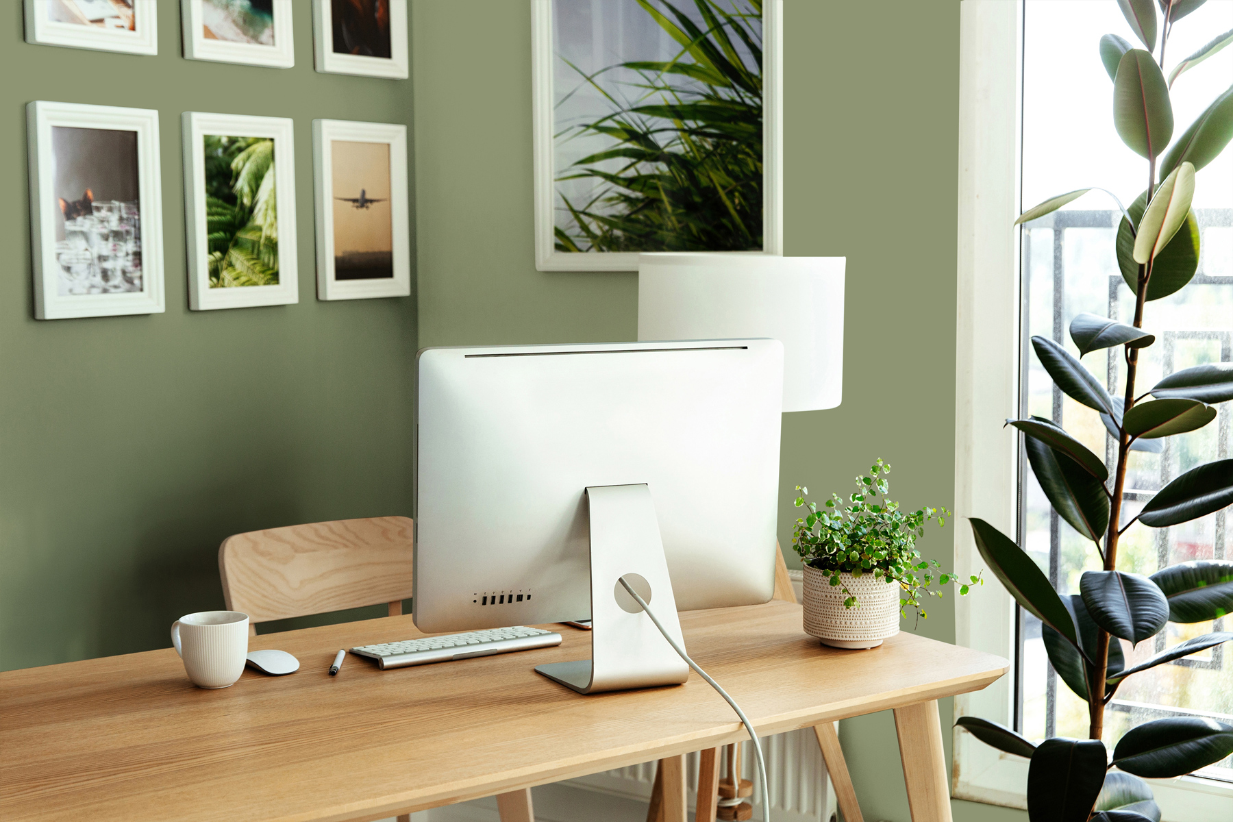 AS Wandfarbe The Color Kitchen TCK4002 Balmy Basil 5 L