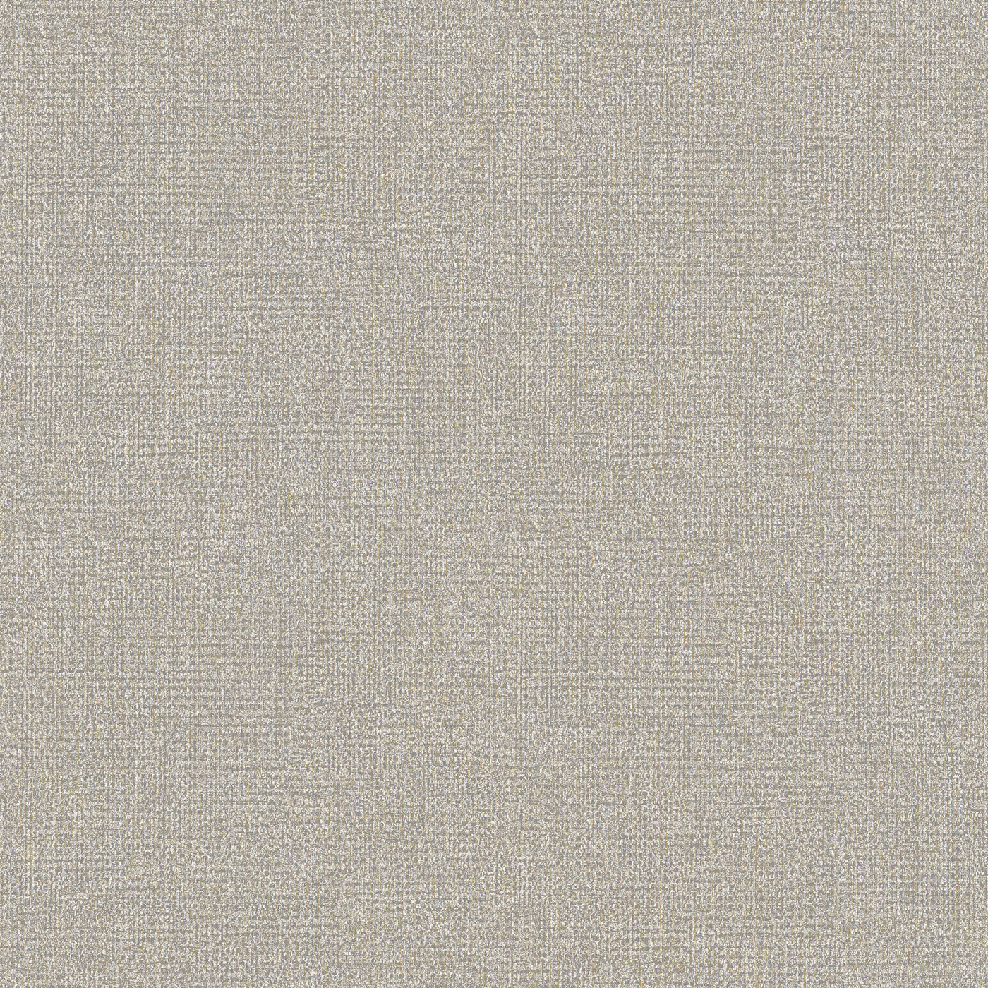 Thomas Vliestapete Meditate grau Unitapete RE25124