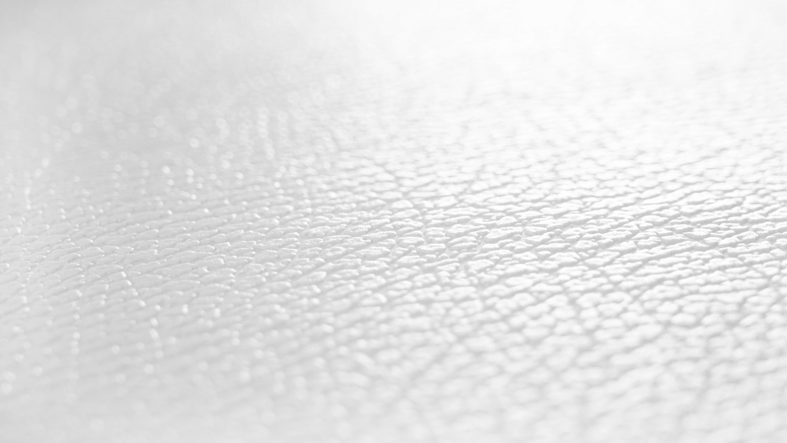 AS Vliestapete Meistervlies 8 überstreichbar 929310