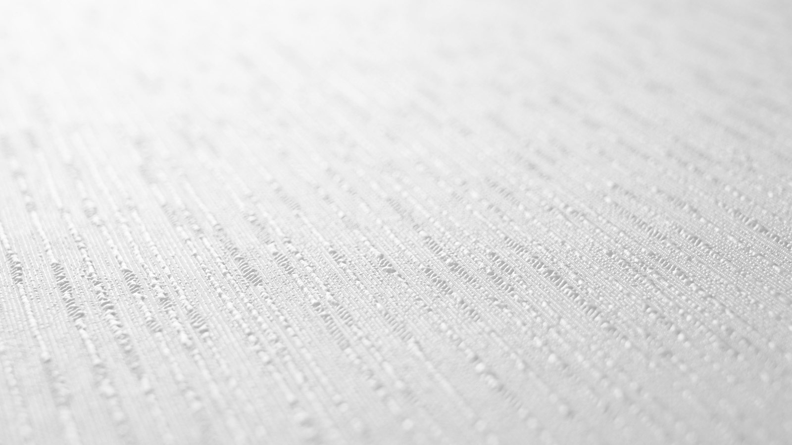 AS Vliestapete Meistervlies 8 überstreichbar 573612