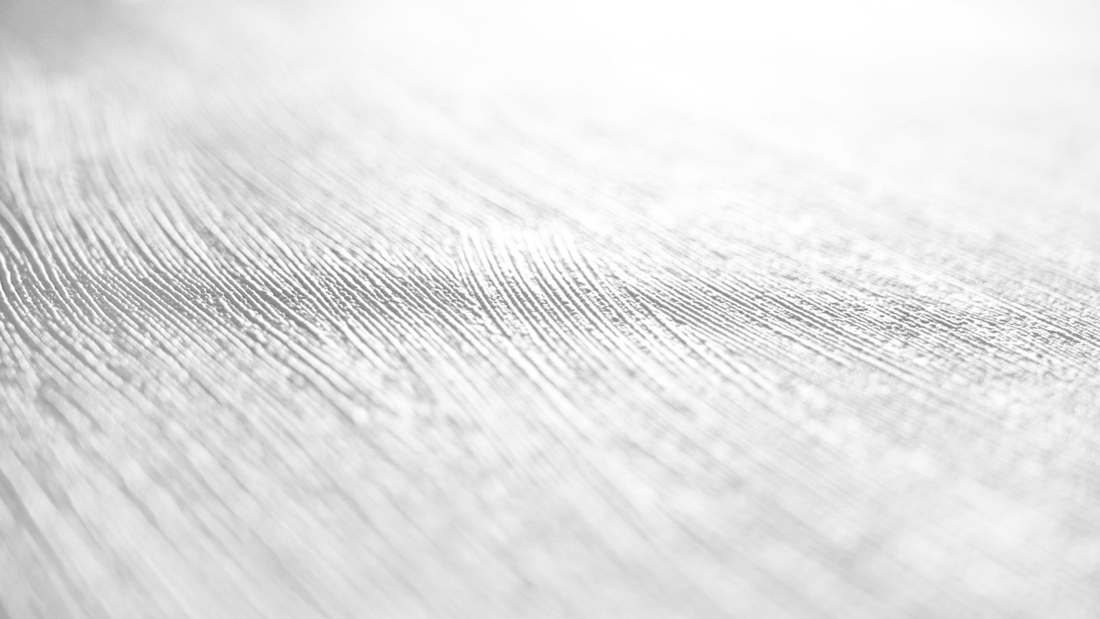 AS Vliestapete Meistervlies 8 überstreichbar 951014