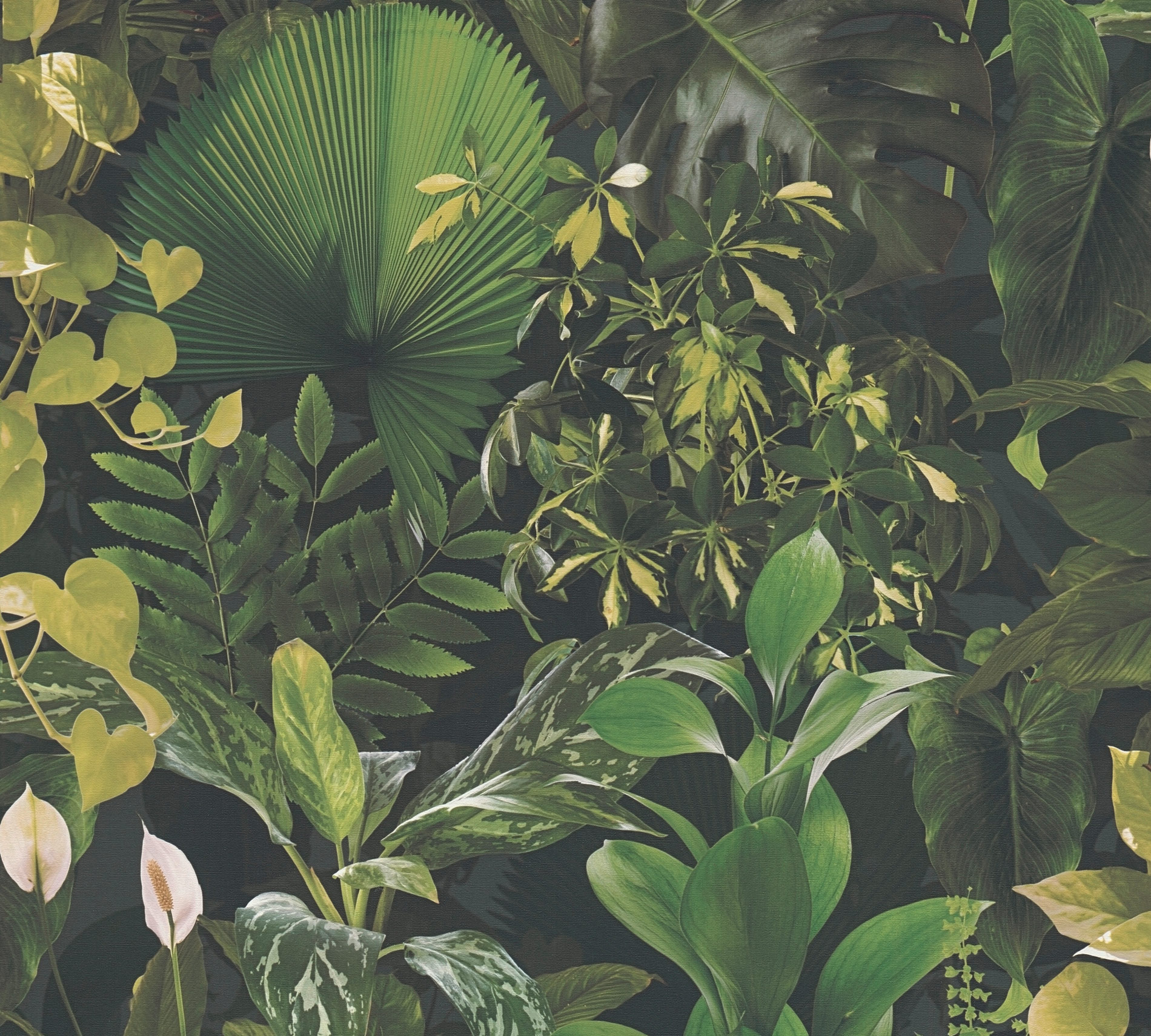 AS Vliestapete PintWalls II Pflanzen Grün 396981 AS Vliestapete PintWalls II Pflanzen Grün 396981