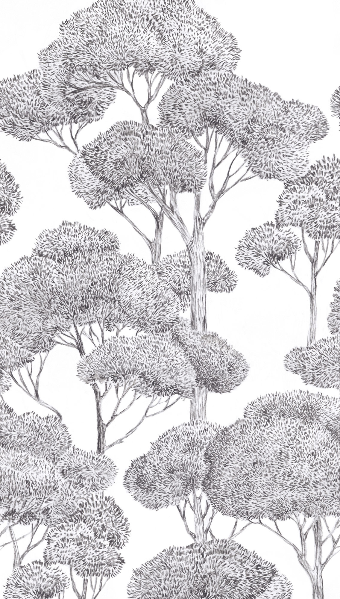 AS Fototapete MS Vibes & Styles Bäume Grau 792167