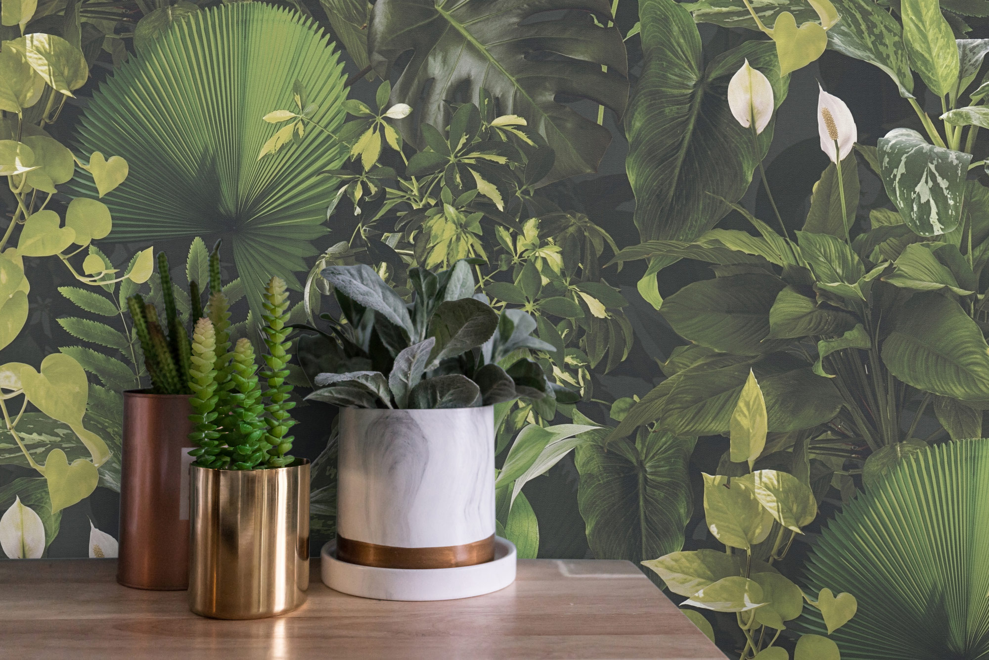 AS Vliestapete PintWalls II Pflanzen Grün 396981