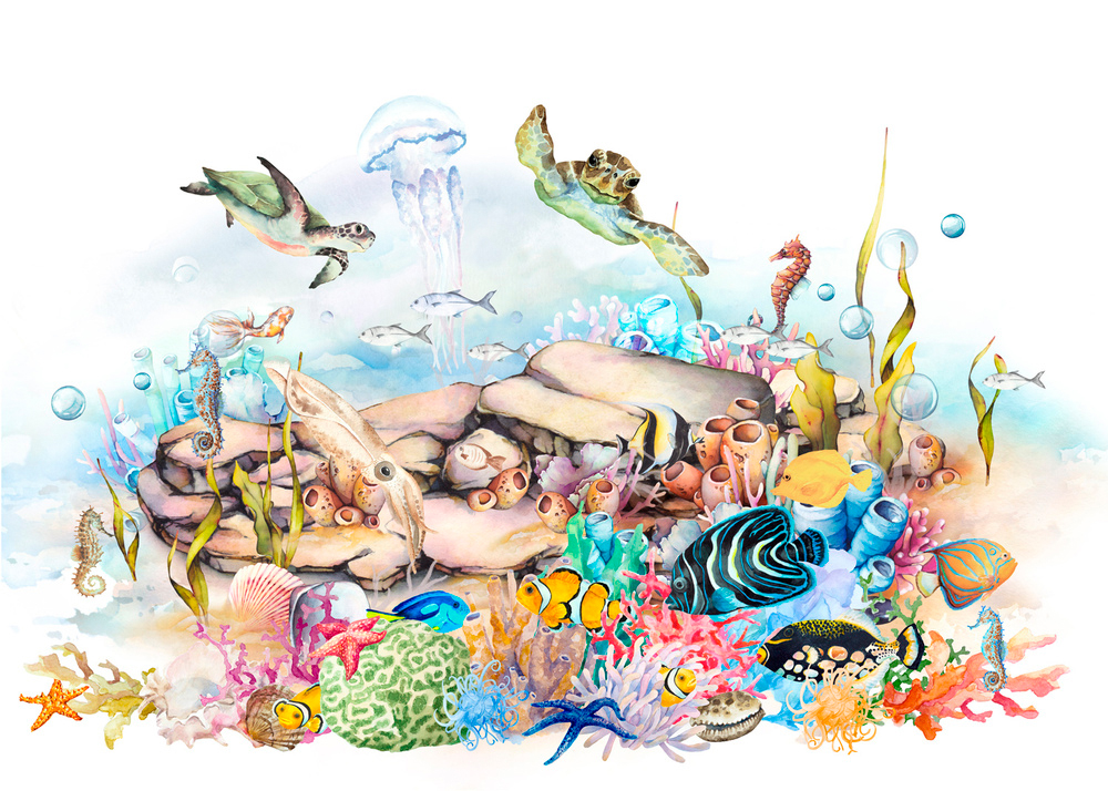 Rasch Fototapete Kids World Schildkröte Unterwasserwelt 3650