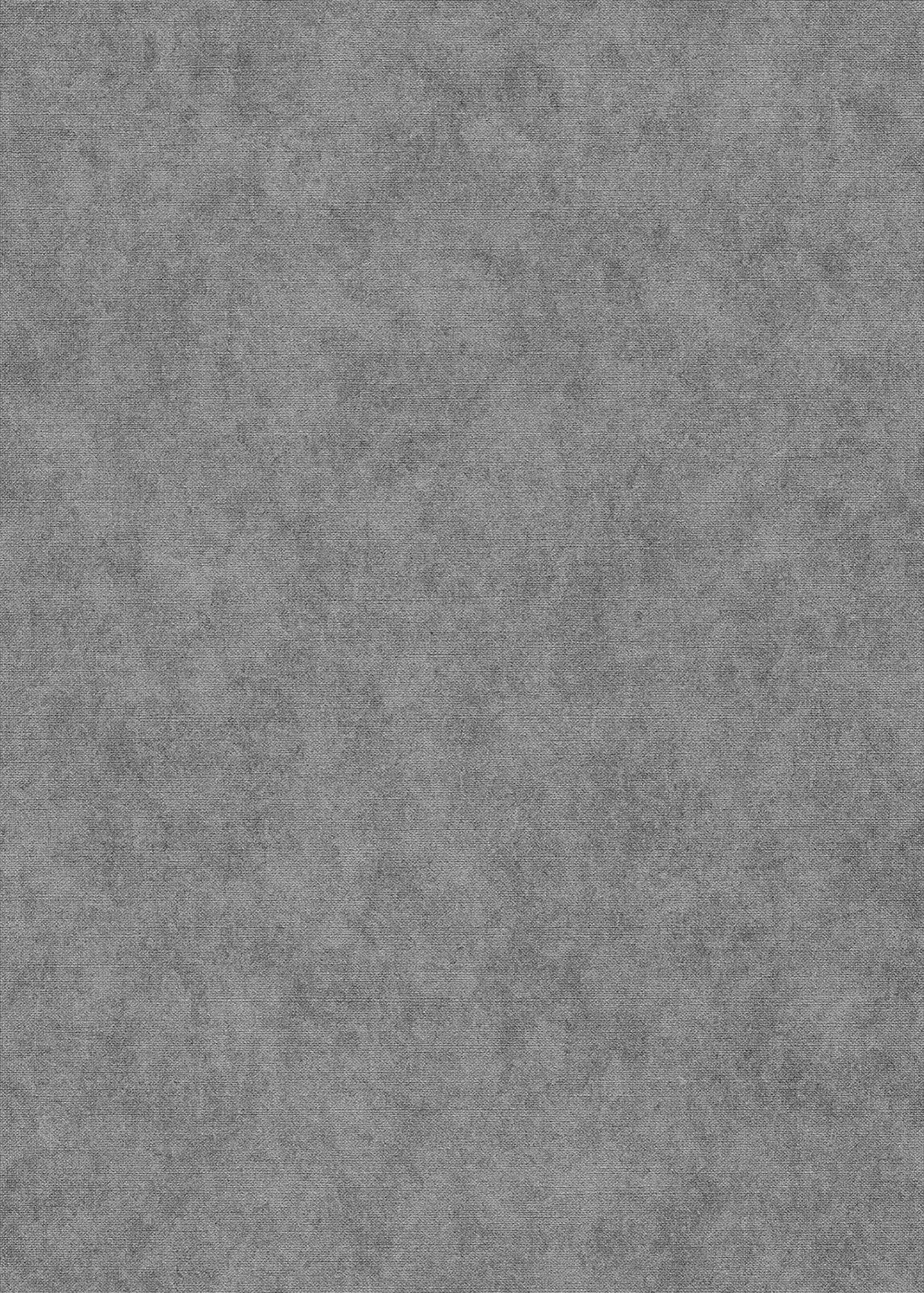 Erismann Vliestapete Elysium silber 1047329 Erismann Vliestapete Elysium silber 1047329