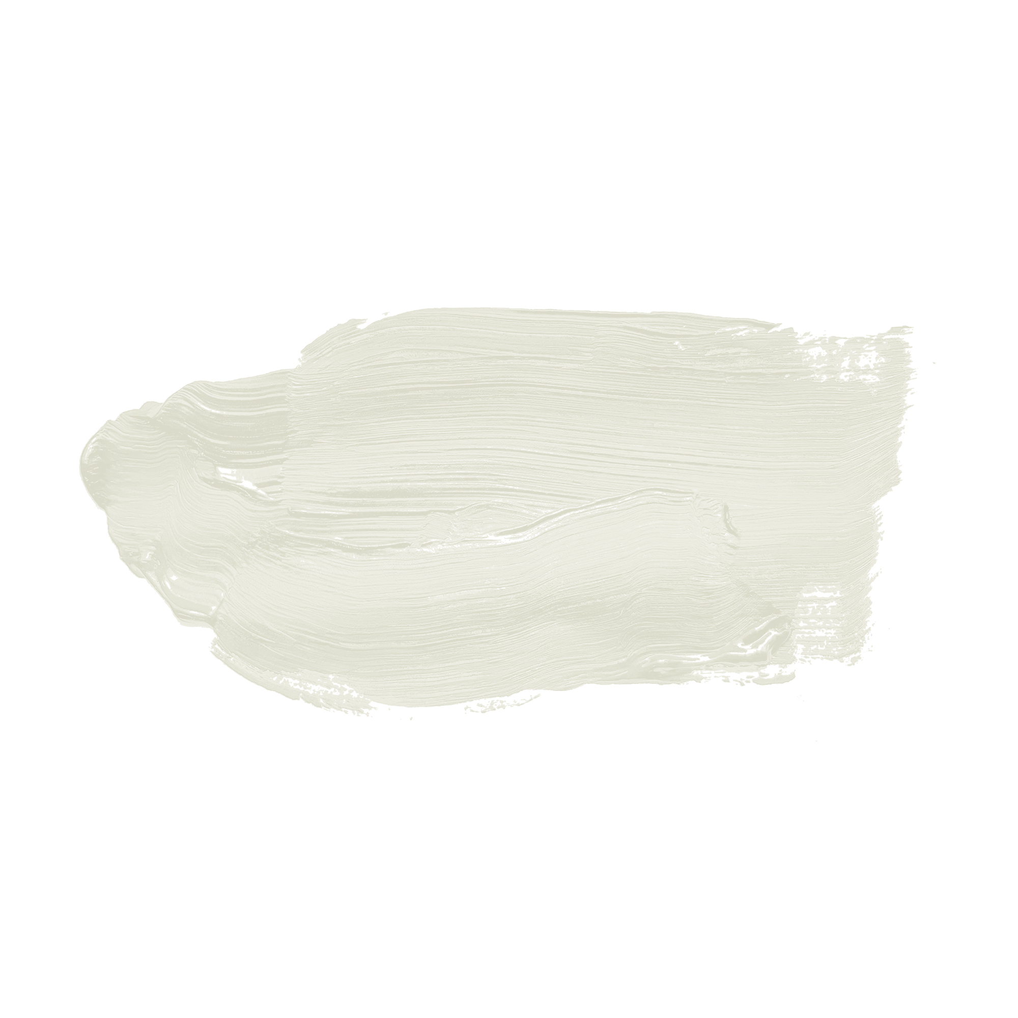 AS Wandfarbe The Color Kitchen TCK1008 Shady Sugar 2,5 L