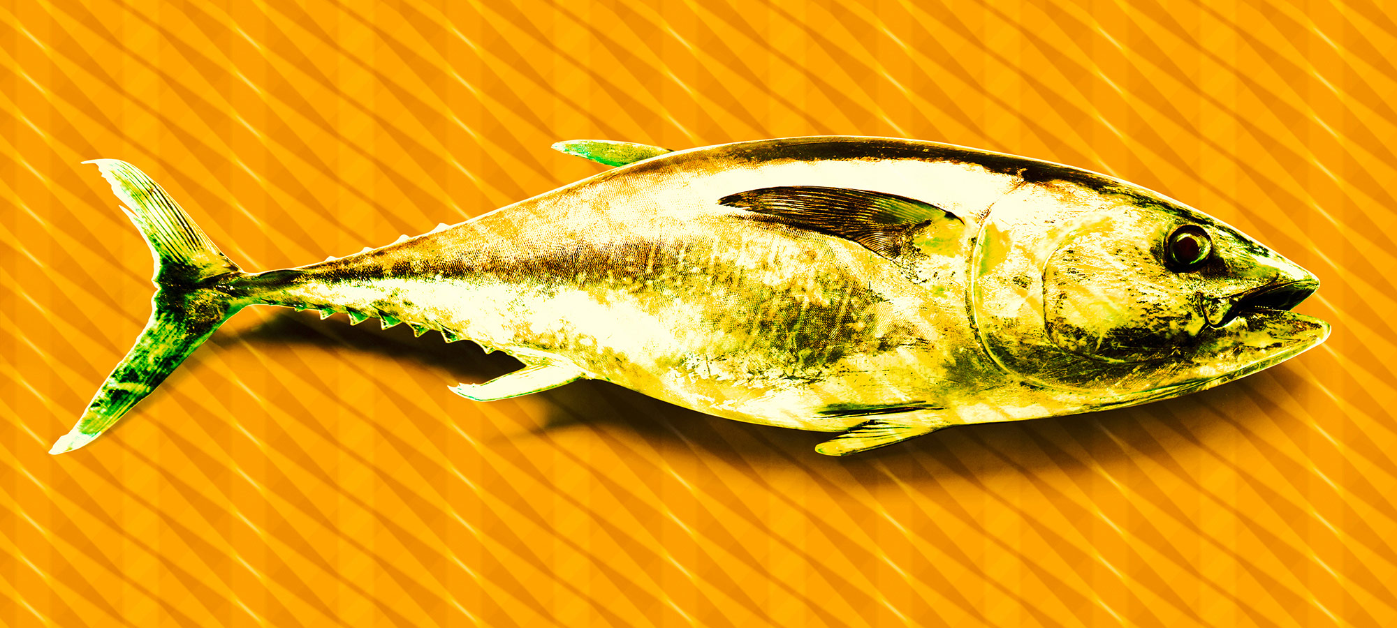 AS Fototapete Atelier 47 TunaGraphic DD118250 AS Fototapete Atelier 47 TunaGraphic DD118250