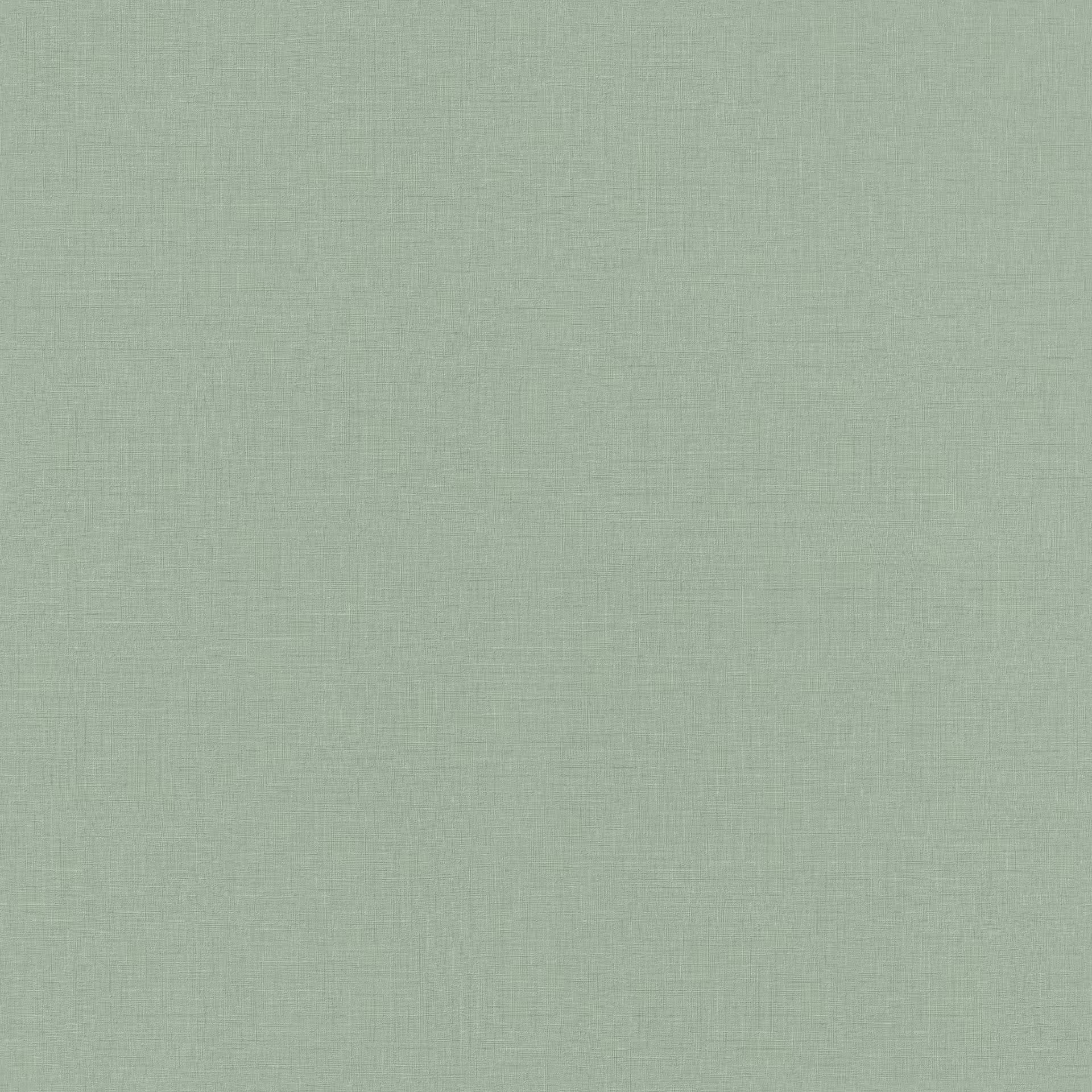 Rasch Vliestapete Allegretto Grün-Grüngrau 690743 Rasch Vliestapete Allegretto Grün-Grüngrau 690743