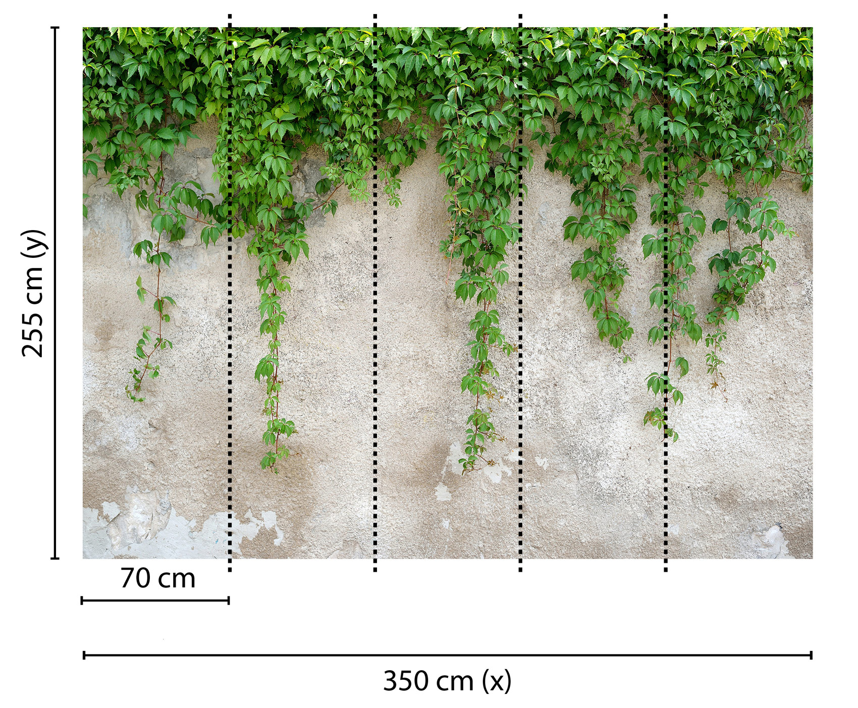 AS Fototapete Designwalls ClimbingLeaves DD118712