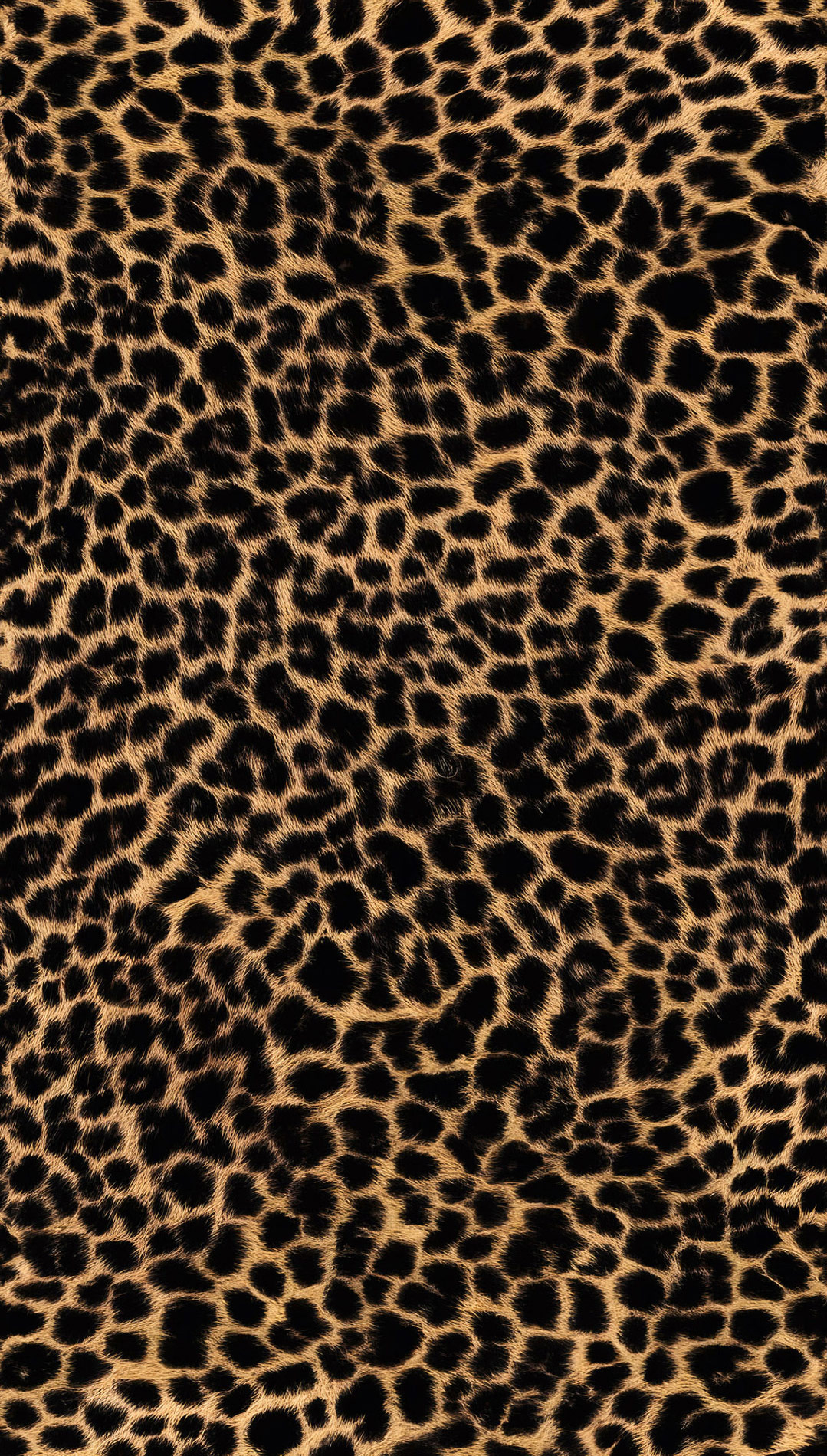 AS Fototapete The Wall 4 Natur Beige 792461