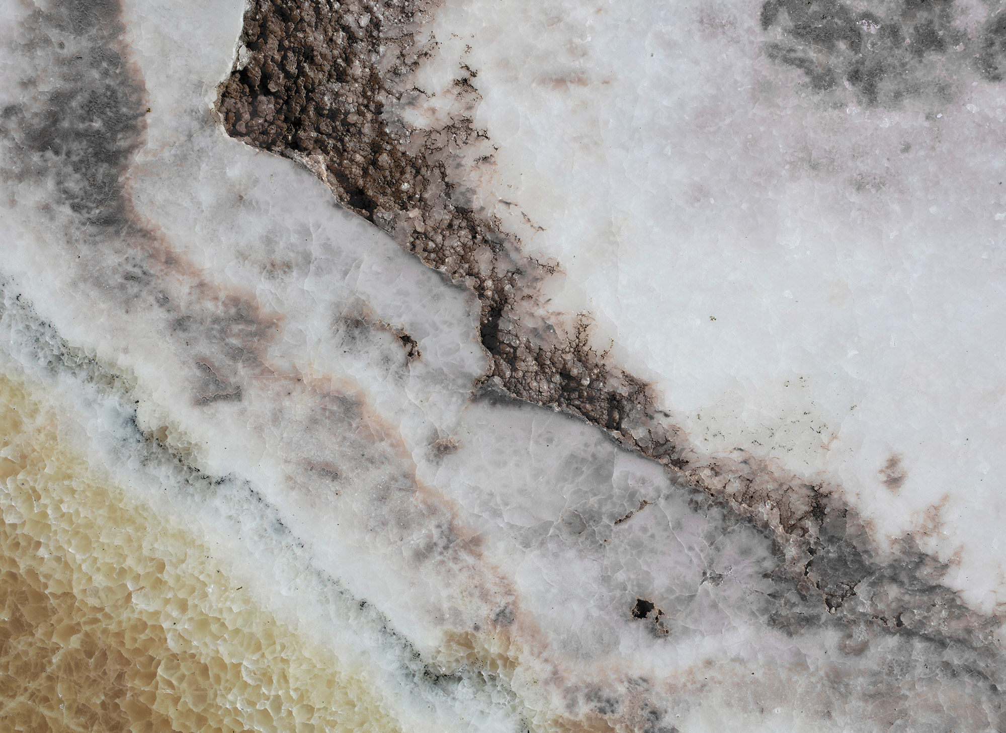 AS Fototapete Designwalls Rose Quartz DD118792