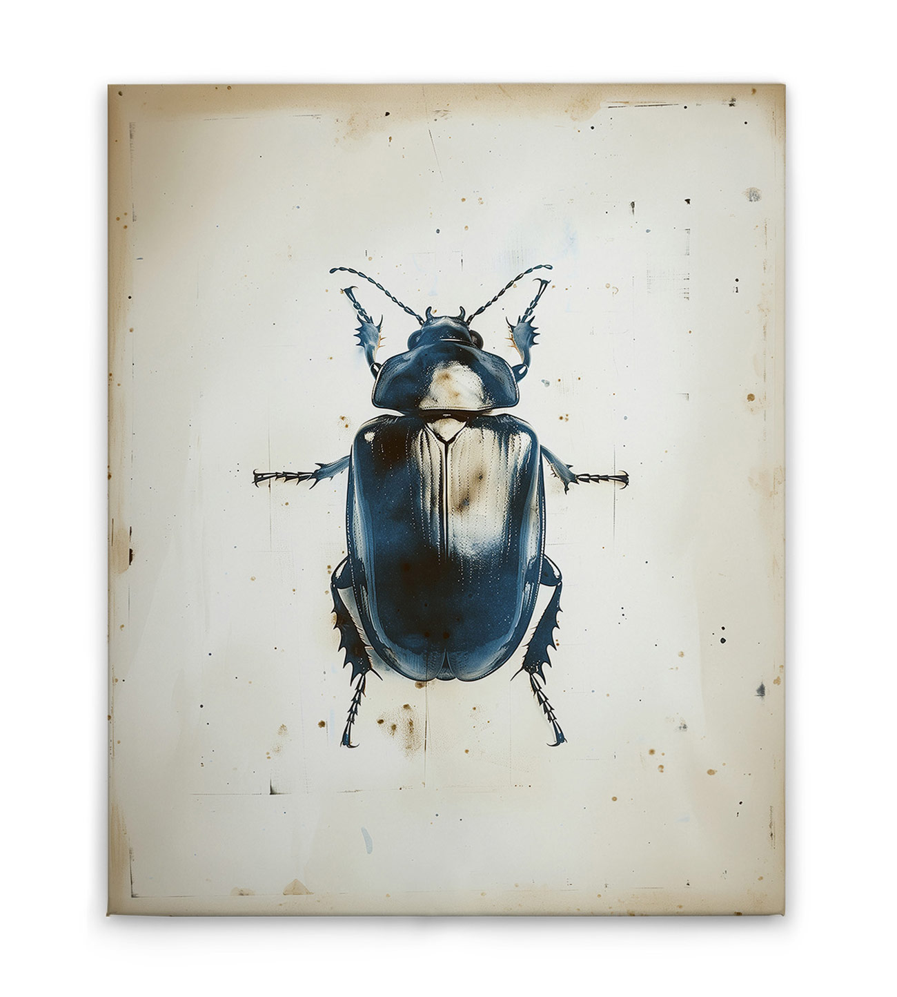 AS Leinwandbild Beetle DD132885