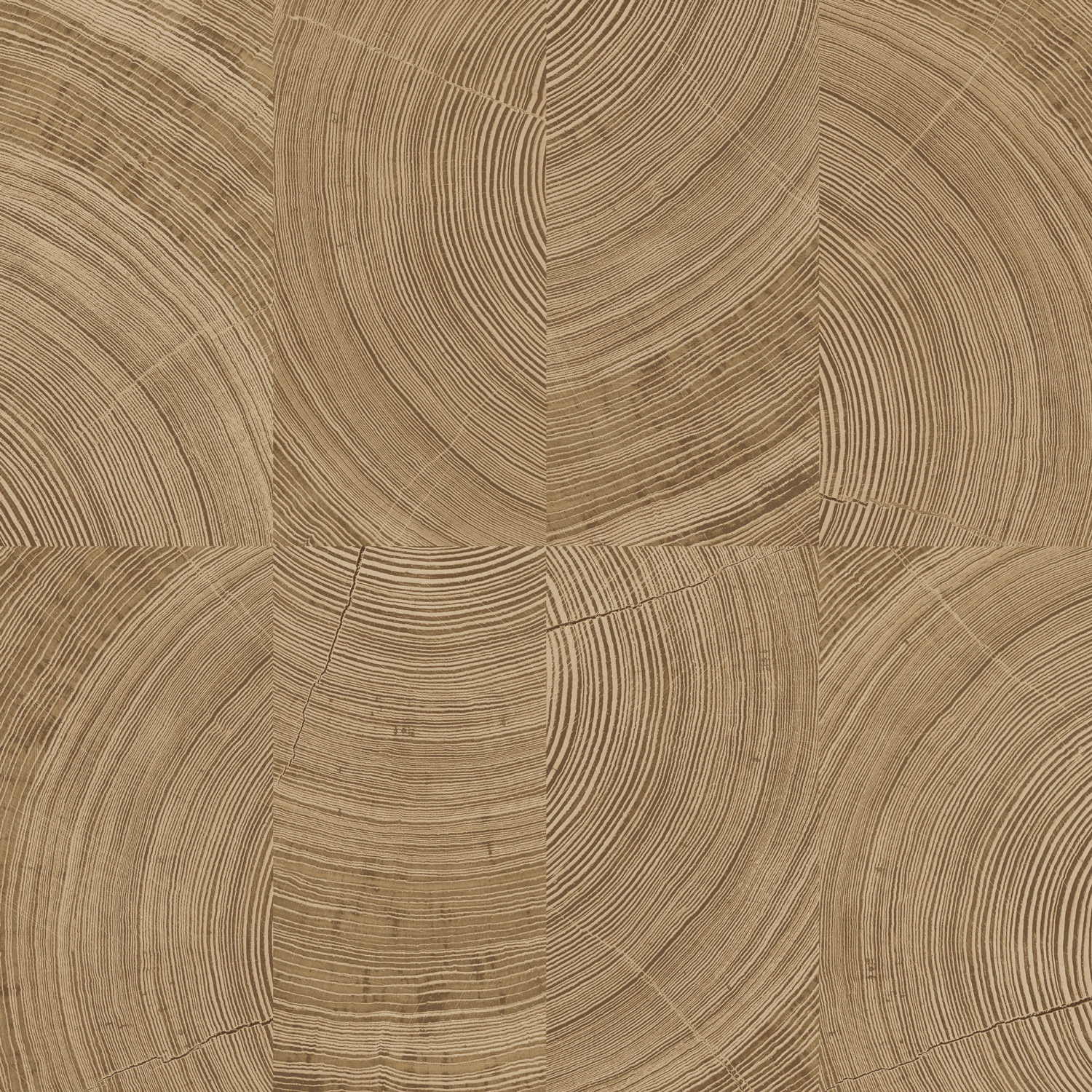 Grandeco Vliestapete Karuna A69102