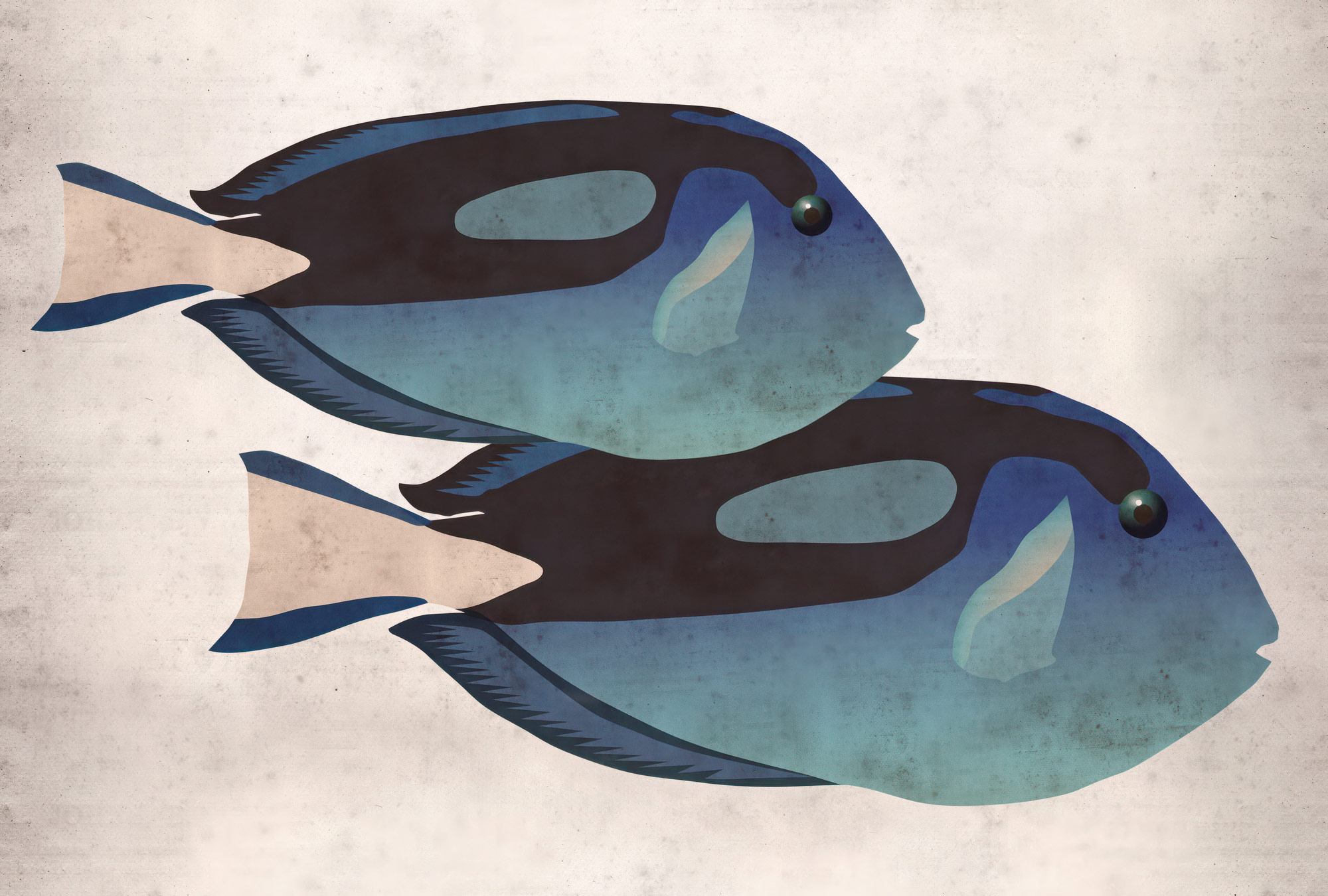 AS Fototapete Walls by Patel 5 Fische Blau DD134003