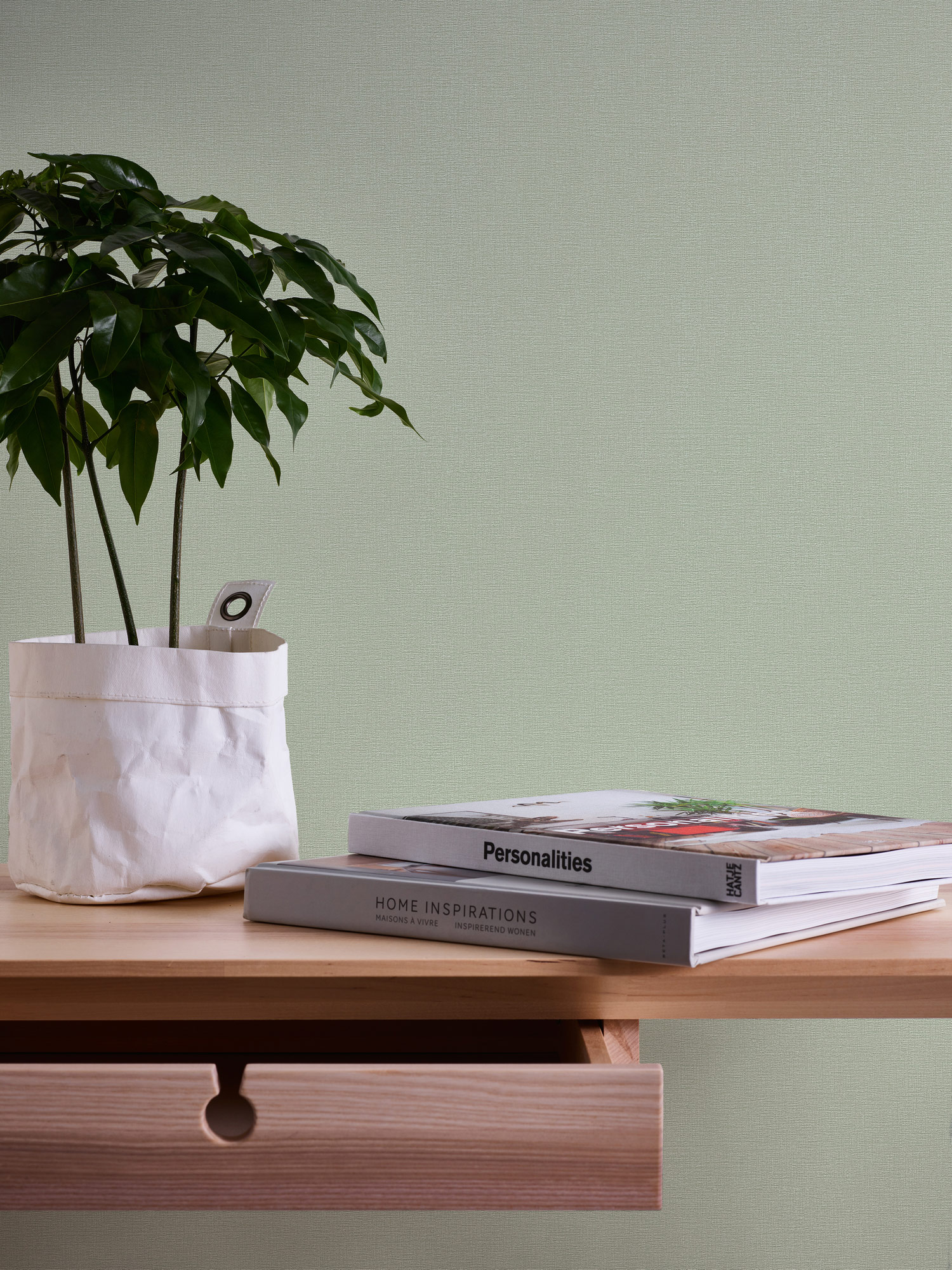 AS Vliestapete Casual Living Grün Unitapete 367136