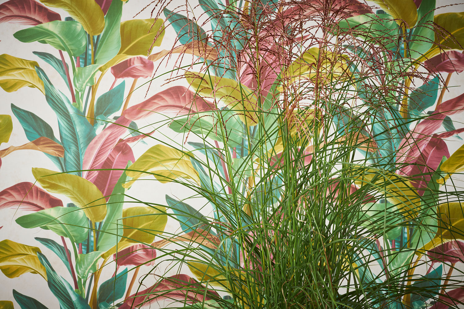 AS Vliestapete Metropolitan Stories 2 Florale Tapete 378621