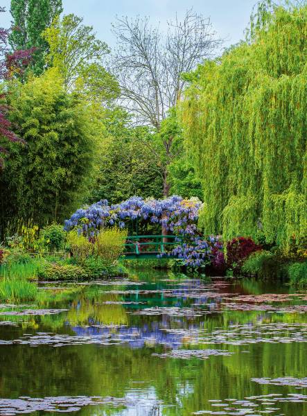 AS Fototapete Monet’s Garden In France Designwalls 2 DD11906