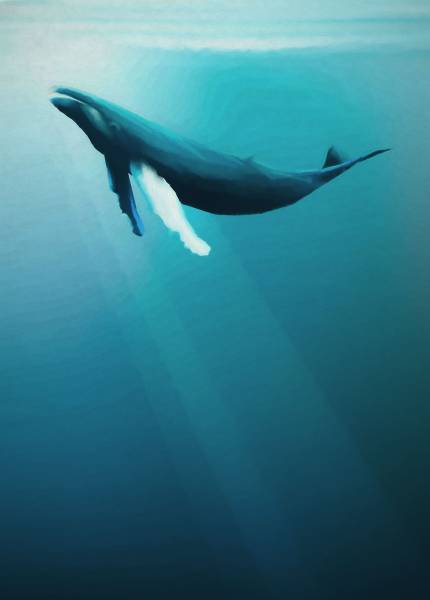 Komar Vlies Fototapete Artsy Humpback Whale IAX4-0045