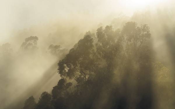 Komar Vlies Fototapete Misty Mountain SH067-VD4