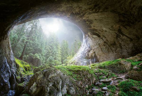 AS Fototapete Cave In The Forest Designwalls 2 DD118919