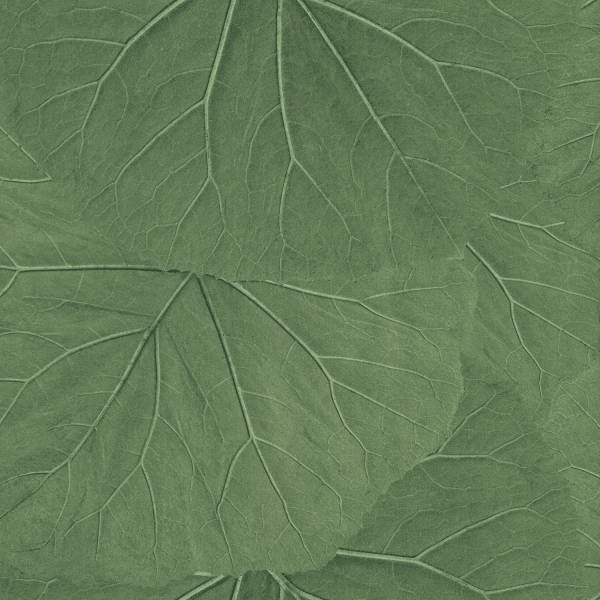 Rasch Textil Vlies-Tapete - Jungle Fever 138995 / 13899-5