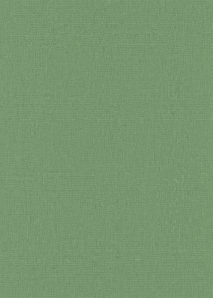 Erismann Vliestapete Martinique grün 1039307