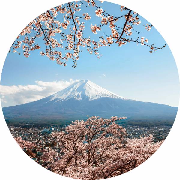 AS Fototapete Mount Fuji in Japan Designwalls 2 DD119200